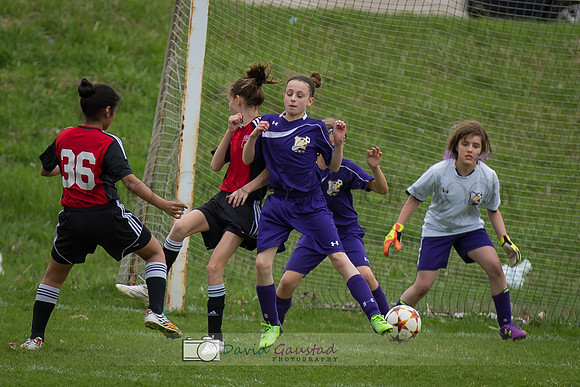 Picture from the DeForest and Windsor Norski youth soccer program