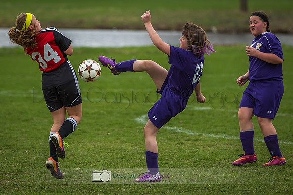 Picture from the DeForest and Windsor Norski youth soccer program