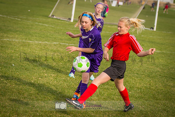 Picture from the DeForest and Windsor Norski youth soccer program