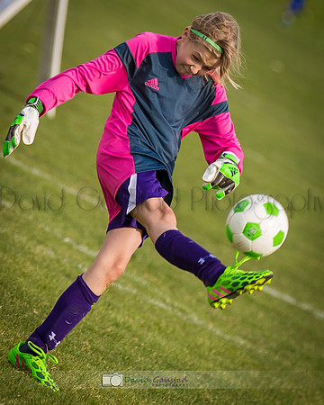 Picture from the DeForest and Windsor Norski youth soccer program