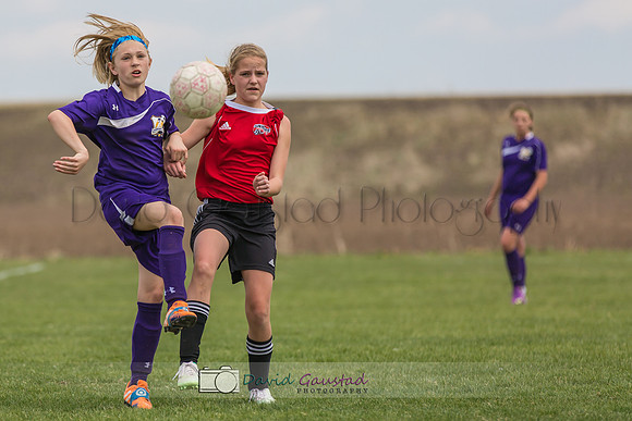 Picture from the DeForest and Windsor Norski youth soccer program