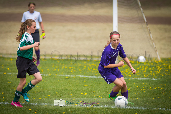 Picture from the DeForest and Windsor Norski youth soccer program
