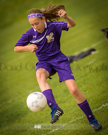 Picture from the DeForest and Windsor Norski youth soccer program