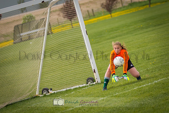 Picture from the DeForest and Windsor Norski youth soccer program