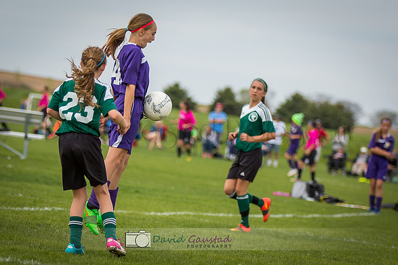 Picture from the DeForest and Windsor Norski youth soccer program