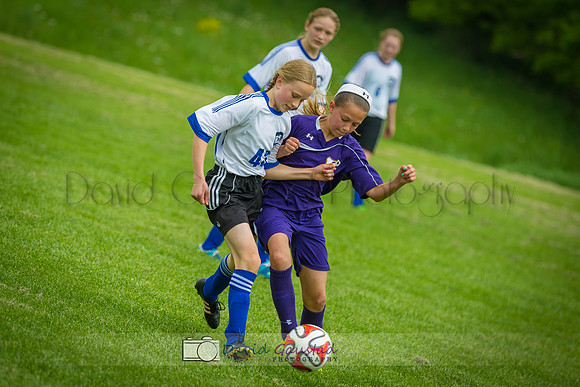 Picture from the DeForest and Windsor Norski youth soccer program