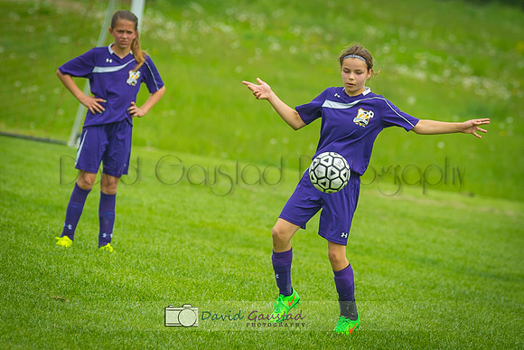 Picture from the DeForest and Windsor Norski youth soccer program