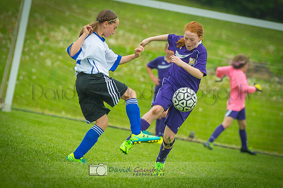 Picture from the DeForest and Windsor Norski youth soccer program