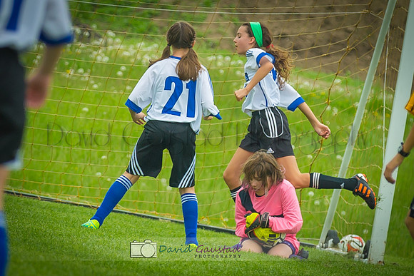 Picture from the DeForest and Windsor Norski youth soccer program