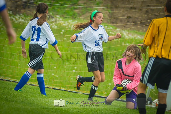 Picture from the DeForest and Windsor Norski youth soccer program