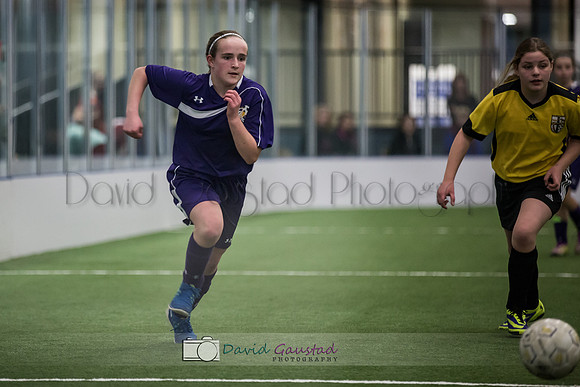 Picture from the DeForest and Windsor Norski youth soccer program