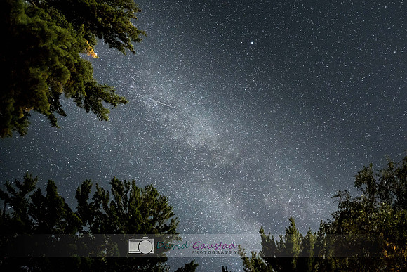 Stars Milkyway