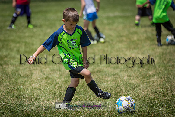Eastside Lutheran Soccer Camp July 2015 soccer pictures