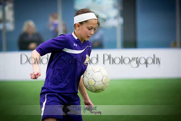 DeForest Norskies and Monona Grove indoor soccer