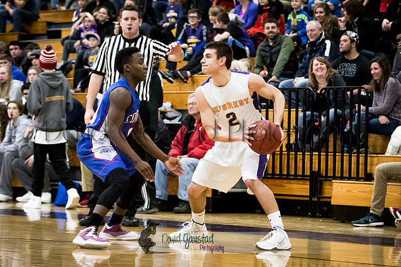 Hunter Wilson DeForest Boys Basketball vs Janesville Craig February 2016