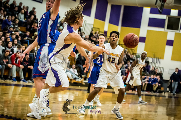 Andrew Stouffer-Lerch DeForest Boys Basketball vs Janesville Craig February 2016