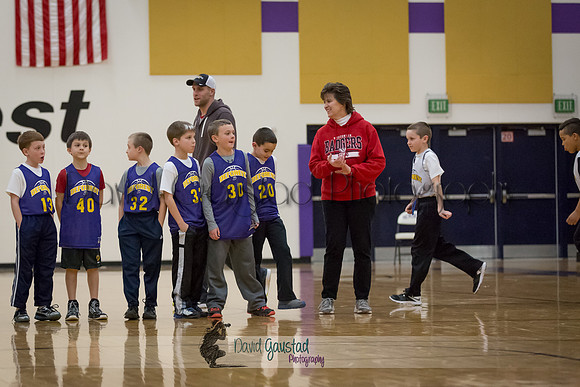 DeForest Boys Basketball vs Janesville Craig February 2016