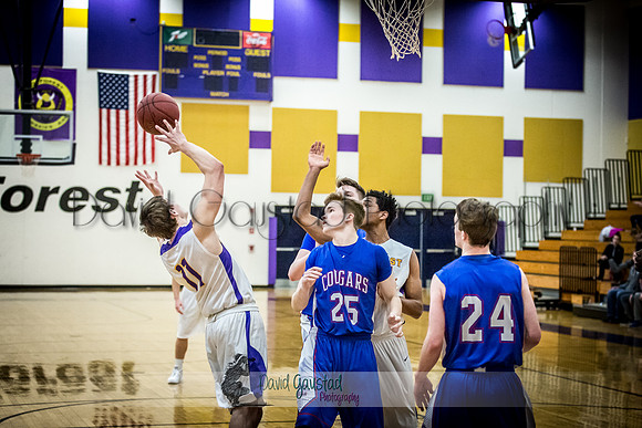 Abraham Schroedl DeForest Boys Basketball vs Janesville Craig February 2016