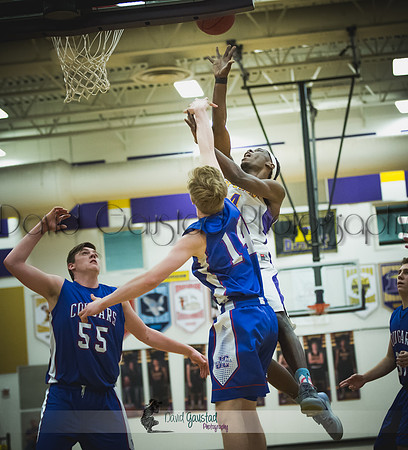 Corian Davis DeForest Boys Basketball vs Janesville Craig February 2016