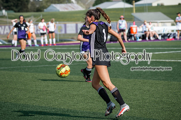DeForest Girl's Soccer vs Waunakee