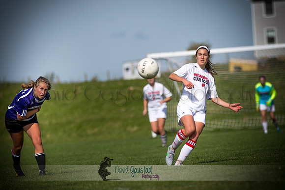 BQ4A7219