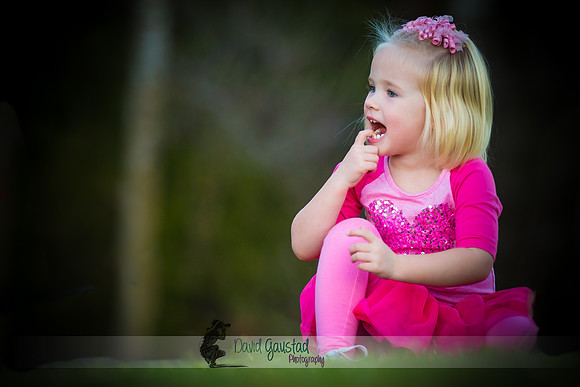 DeForest, Sun Prairie, Waunakee, Middleton, Verona, Lodi, Oregon, Family Photographer Family Picture