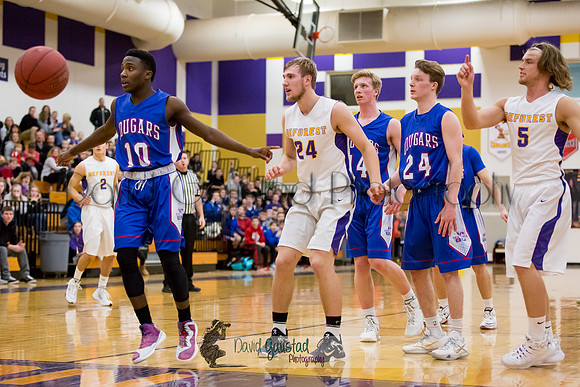 DeForest Boys Basketball vs Janesville Craig February 2016