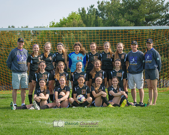 DeForest Girls Soccer 2015 Team Picture