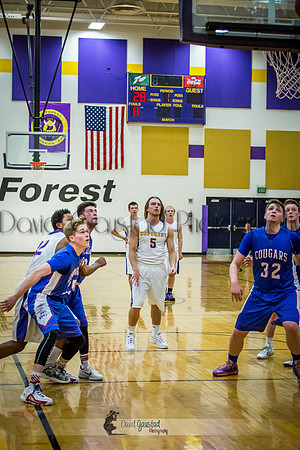 DeForest Boys Basketball vs Janesville Craig February 2016