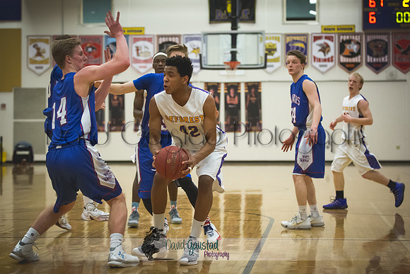 DeForest Boys Basketball vs Janesville Craig February 2016
