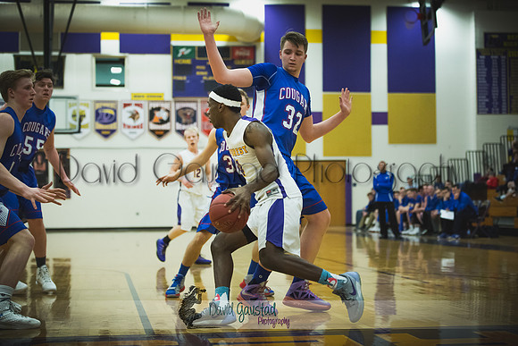 Corian Davis DeForest Boys Basketball vs Janesville Craig February 2016