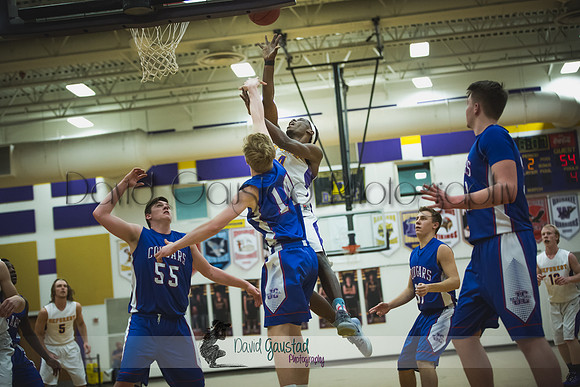 Corian Davis DeForest Boys Basketball vs Janesville Craig February 2016