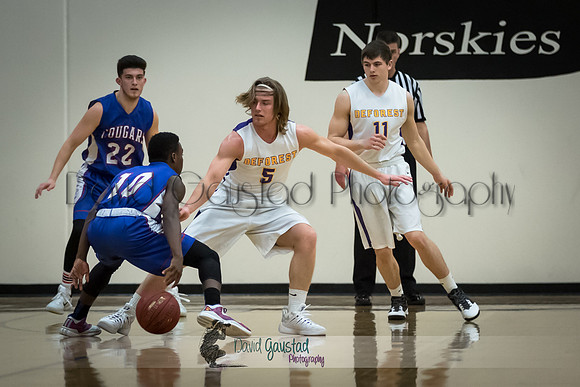 DeForest Boys Basketball vs Janesville Craig February 2016