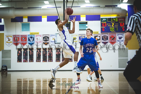 Andrew Stouffer-Lerch DeForest Boys Basketball vs Janesville Craig February 2016