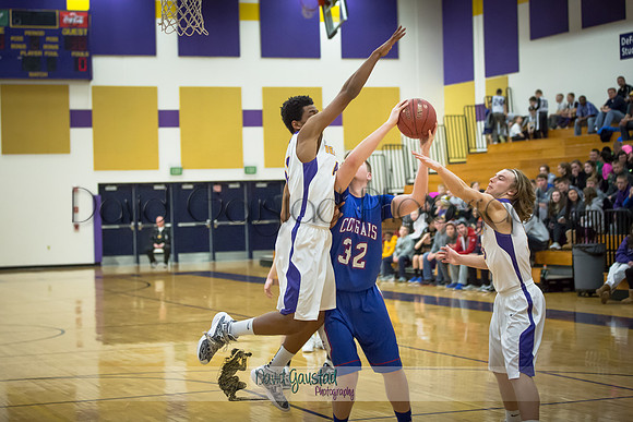 DeForest Boys Basketball vs Janesville Craig February 2016