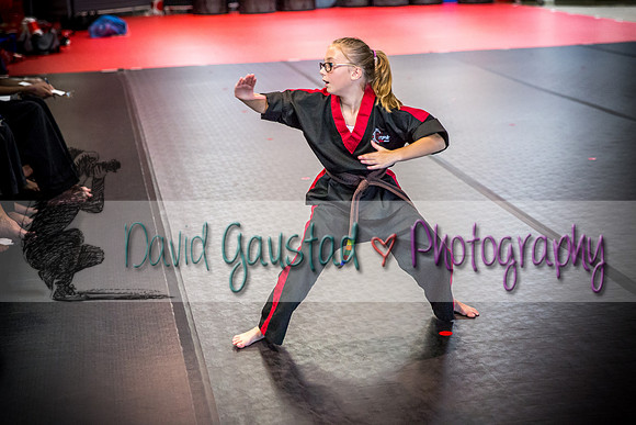 Midwest Professional Karate Black Belt Test 2016