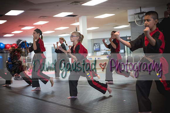 Midwest Professional Karate Black Belt Test 2016