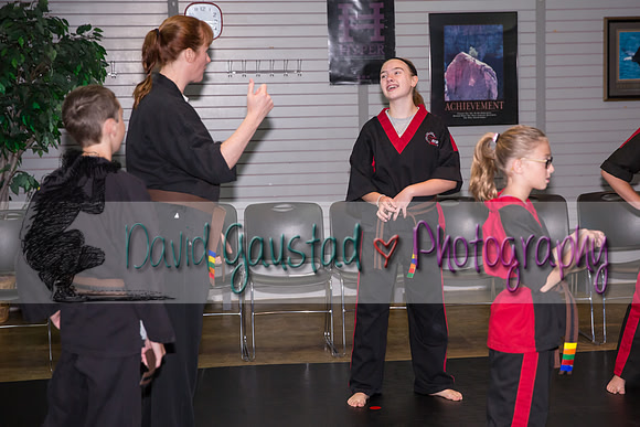 Midwest Professional Karate Black Belt Test 2016
