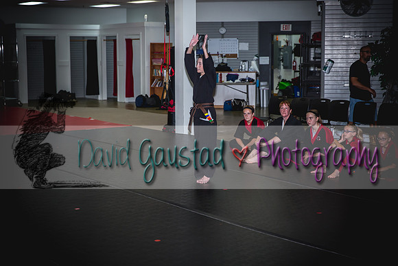 Midwest Professional Karate Black Belt Test 2016