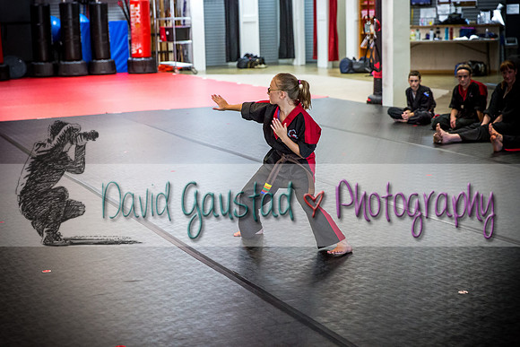 Midwest Professional Karate Black Belt Test 2016