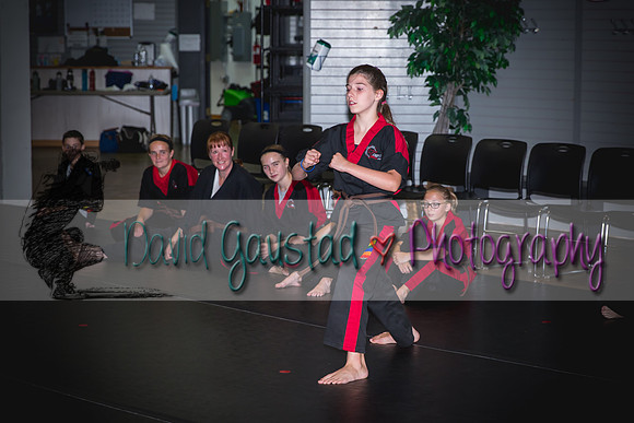 Midwest Professional Karate Black Belt Test 2016