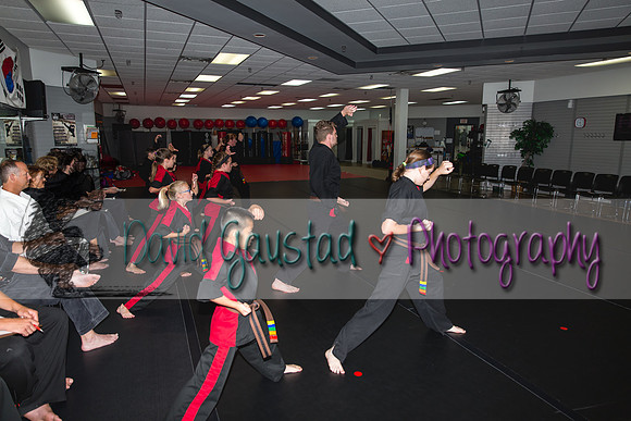Midwest Professional Karate Black Belt Test 2016