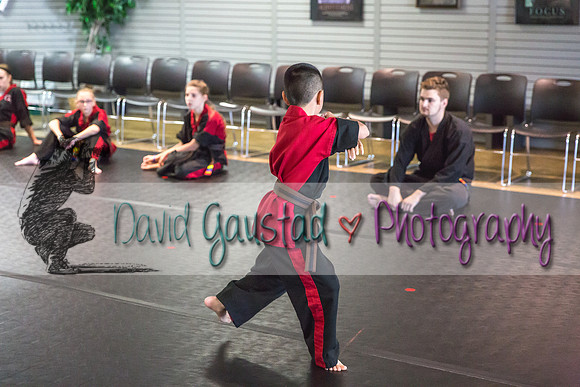 Midwest Professional Karate Black Belt Test 2016