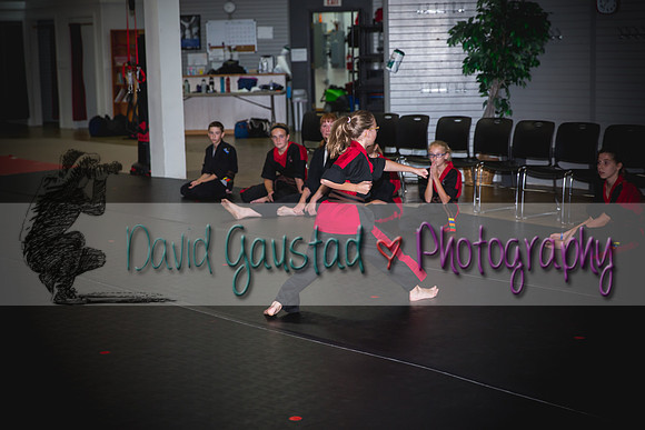 Midwest Professional Karate Black Belt Test 2016