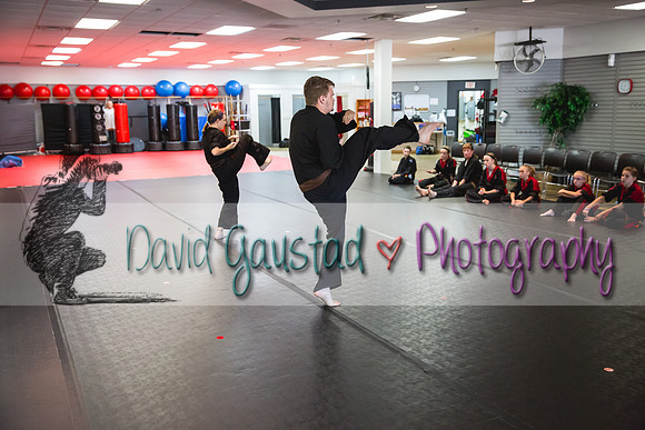 Midwest Professional Karate Black Belt Test 2016