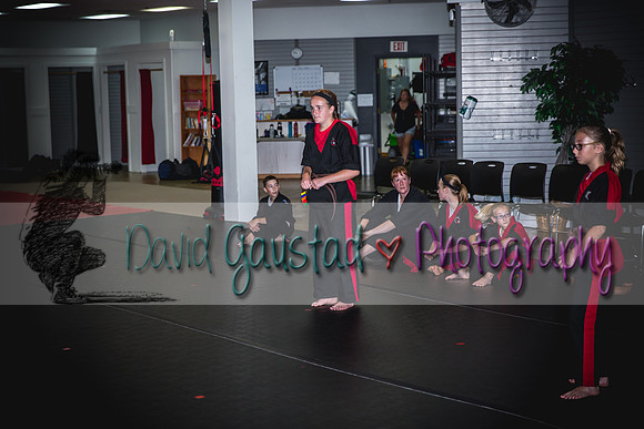 Midwest Professional Karate Black Belt Test 2016