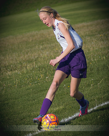 DeForest Norski soccer vs Rock on 5/21/2016