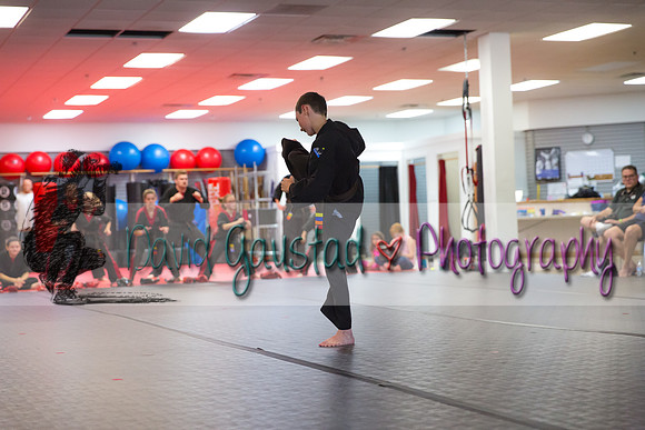 Midwest Professional Karate Black Belt Test 2016