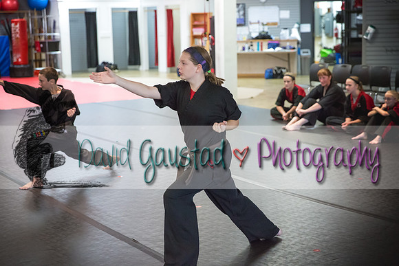 Midwest Professional Karate Black Belt Test 2016