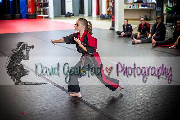 Midwest Professional Karate Black Belt Test 2016